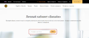 Авторизация в личном кабинете