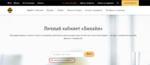 Как получить пароль